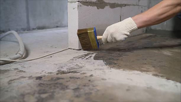 24/7 Emergency Waterproofing experts in Rochester, WA